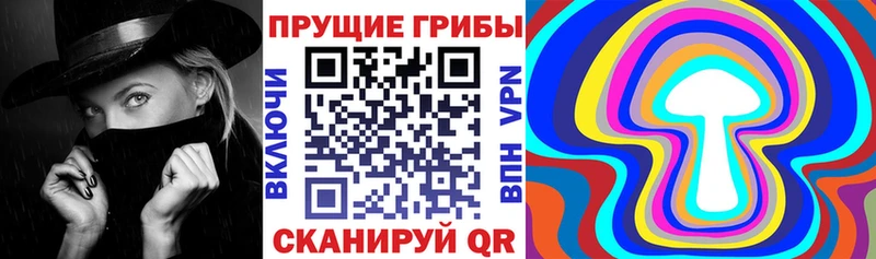 Купить  Димитровград  Псилоцибиновые грибы MAGIC MUSHROOMS 